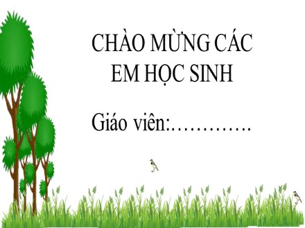 Bài giảng Steam Ngữ văn Lớp 7 (Sách Chân trời sáng tạo) - Bài 1 - Tiết 8+9: Con chim chiền chiện