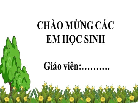 Bài giảng Steam Ngữ văn Lớp 7 (Sách Chân trời sáng tạo) - Bài 1 - Tiết 13: Ôn tập